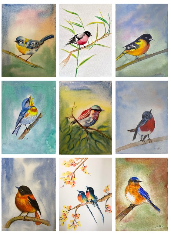 SUMMER BIRDS